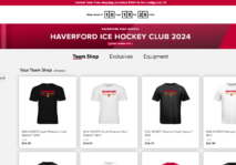 Screenshot 2024 team store